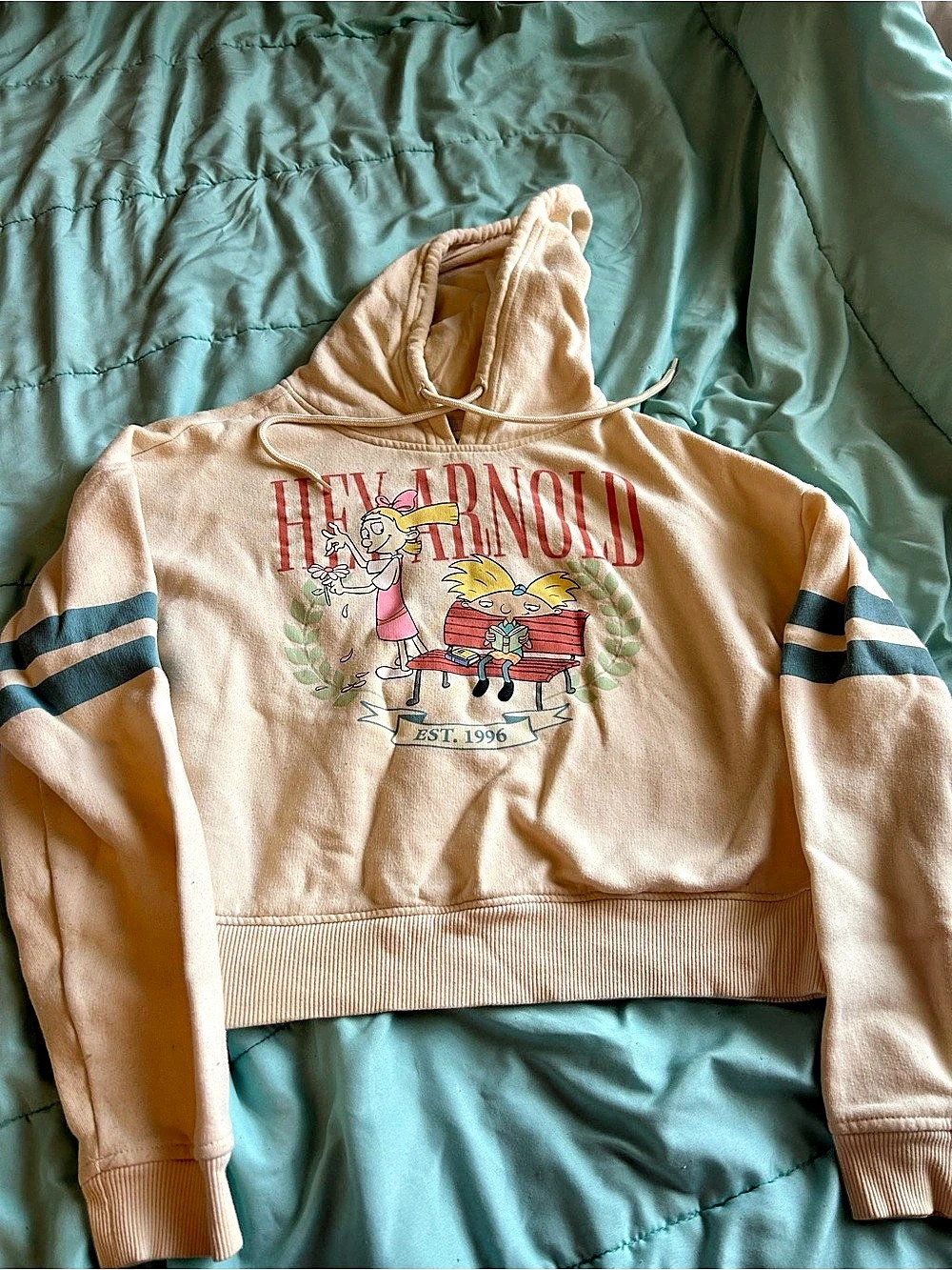 Nickelodeon Hey Arnold Graphic Cropped Varsity Hoodie Pink & Blue